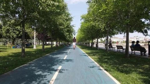 Free Stock Video Walking Along A Road In A Park On A Sunny Live Wallpaper – Free Live Wallpaper