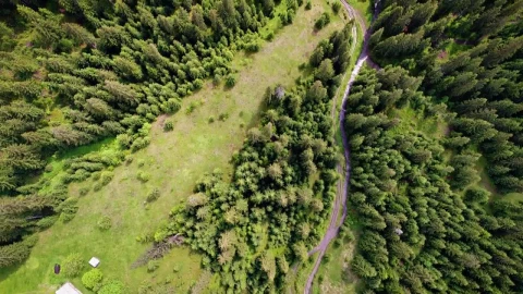 Free Stock Video Village Among The Woods Aerial Shot Live Wallpaper – Free Live Wallpaper