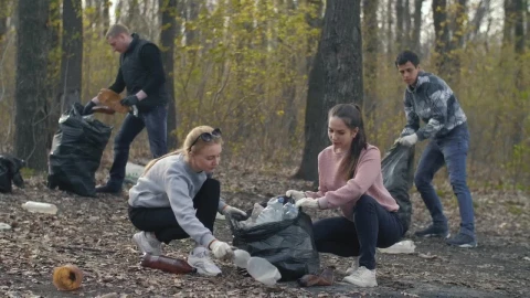 Free Stock Video Young People Recycling Garbage Live Wallpaper - Stock Wallpaper
