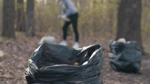 Free Stock Video Young People Recycling Plastic Bottles Live Wallpaper - Stock Wallpaper