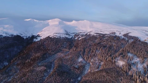Free Stock Video Wooded Mountain With Snow Covered Top Live Wallpaper - Stock Wallpaper
