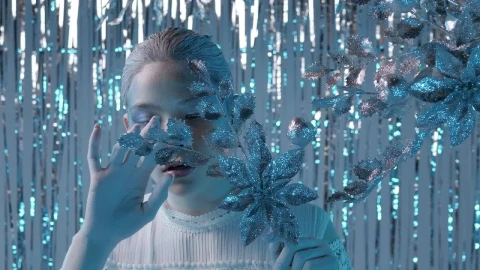Free Stock Video Woman With Makeup Face With Winter Concept Live Wallpaper - Stock Wallpaper