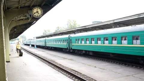 Free Stock Video Woman With Luggage At A Train Station Live Wallpaper - Stock Wallpaper