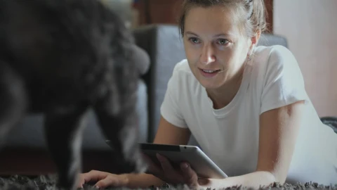 Free Stock Video Woman Using Tablet And Teasing Her Cat Live Wallpaper - Stock Wallpaper