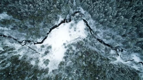 Stock Footage Winter Forest From Above Live Wallpaper - St patrick Wallpaper