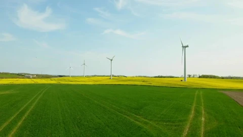 Stock Footage Wind Farm In The Sun Live Wallpaper - St patrick Wallpaper