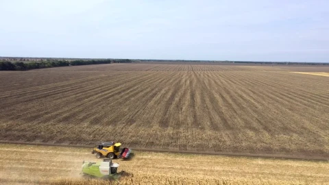 Stock Footage Two Tractors Harvesting Large Crop Fields Live Wallpaper animated wallpaper preview