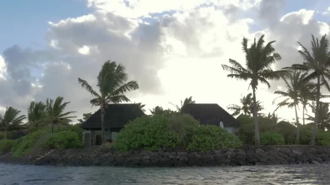 Stock Footage Tropical Plants Around A House Live Wallpaper animated wallpaper preview