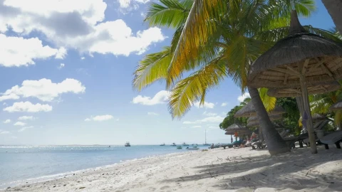 Stock Footage Tropical Beach With Calm Water Live Wallpaper animated wallpaper preview