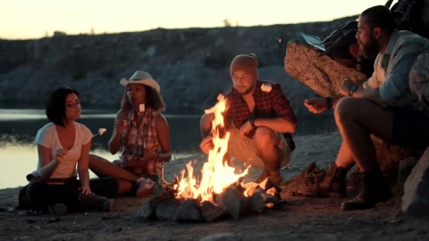 Stock Footage Travelers Cooking Marshmallows In The Bonfire Live Wallpaper animated wallpaper preview