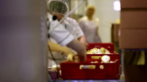 Stock Footage Workers In A Food Factory Live Wallpaper Free - Wallpaper Wallpaper