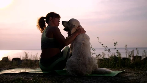 Stock Footage Woman Relaxing With Her Dog Live Wallpaper Free animated wallpaper preview