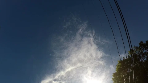 Telephone Wires Video