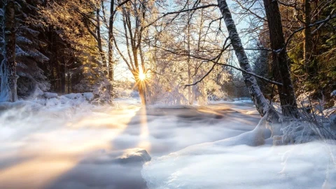Snow 007 Lively Wallpaper – Free Live Wallpaper