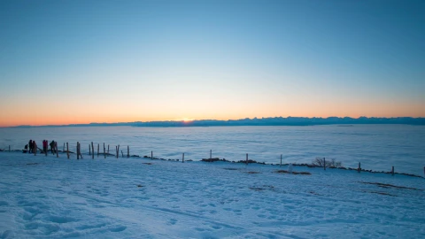 Snow 006 Lively Wallpaper – Free Live Wallpaper