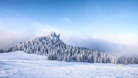 Snow 014 Lively Wallpaper – Free Live Wallpaper