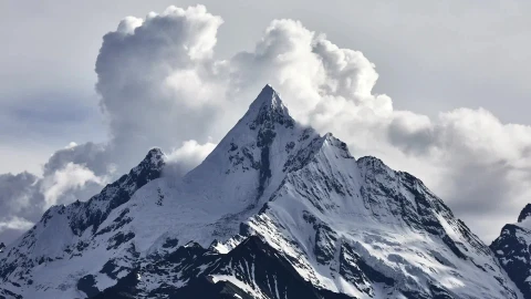 Snow 018 Lively Wallpaper – Free Live Wallpaper