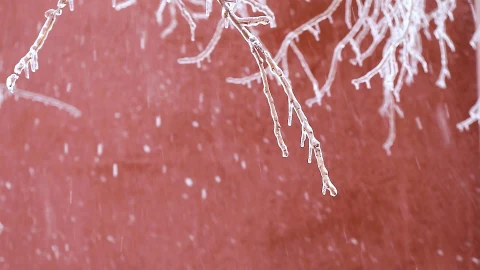 Snow 029 Lively Wallpaper animated wallpaper preview