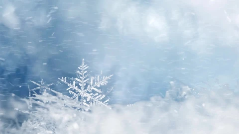 Snow 033 Lively Wallpaper – Free Live Wallpaper