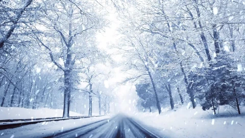 Snow 038 Lively Wallpaper animated wallpaper preview