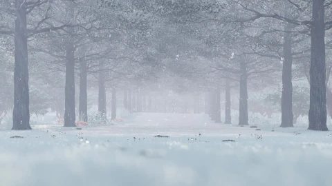 Snow 040 Lively Wallpaper animated wallpaper preview