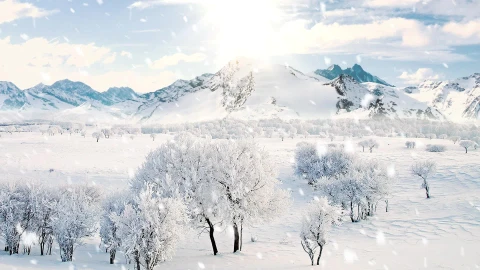 Snow 046 Lively Wallpaper – Free Live Wallpaper