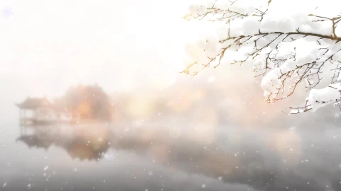 Snow 047 Lively Wallpaper – Free Live Wallpaper