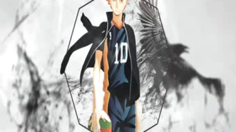 Anime Hinata With Ball Live Wallpaper animated wallpaper preview