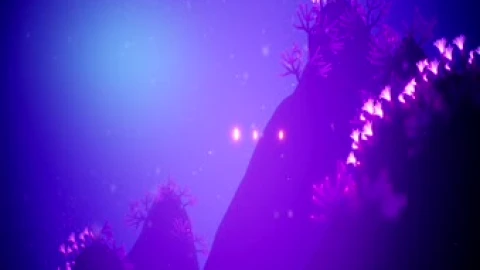 Koral Coral Ocean Sea Fish Video Wallpaper animated wallpaper preview