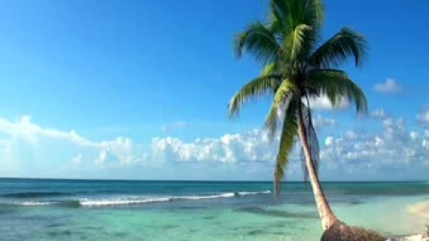 DesktopHut.com Relaxing Ocean Live Wallpaper Free – Free Live Wallpaper
