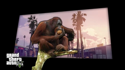 yt5sio monkey drives in los Santos 1080p – Free Live Wallpaper