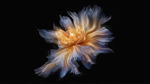 Abstract Digital Flower Live Wallpaper - Kostenloses Live Wallpaper