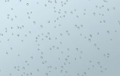 Rain Drops Animated Wallpaper