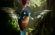 Hummingbird 1080p Live Wallpaper