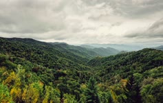 Great Smoky Mountains National Park HD Live Wallpaper