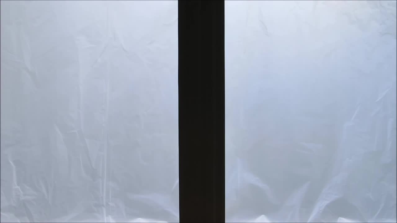 Download Zombie Window Live Wallpaper