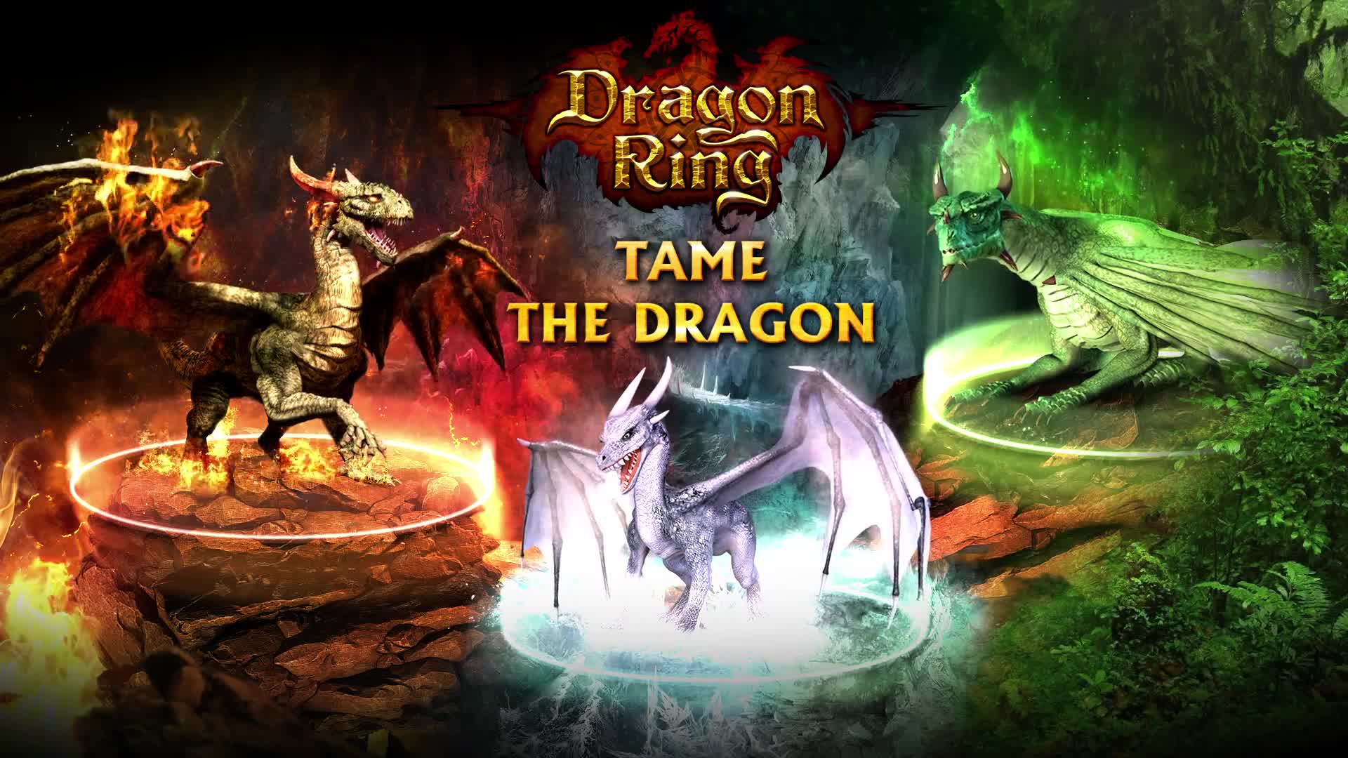 Download Dragon Ring Game HD Live Wallpaper