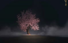 Sakura Tree Live Wallpaper 7