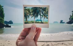 Beach Polaroid HD Live Wallpaper