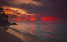 Paradise Island Sunset Live Wallpaper