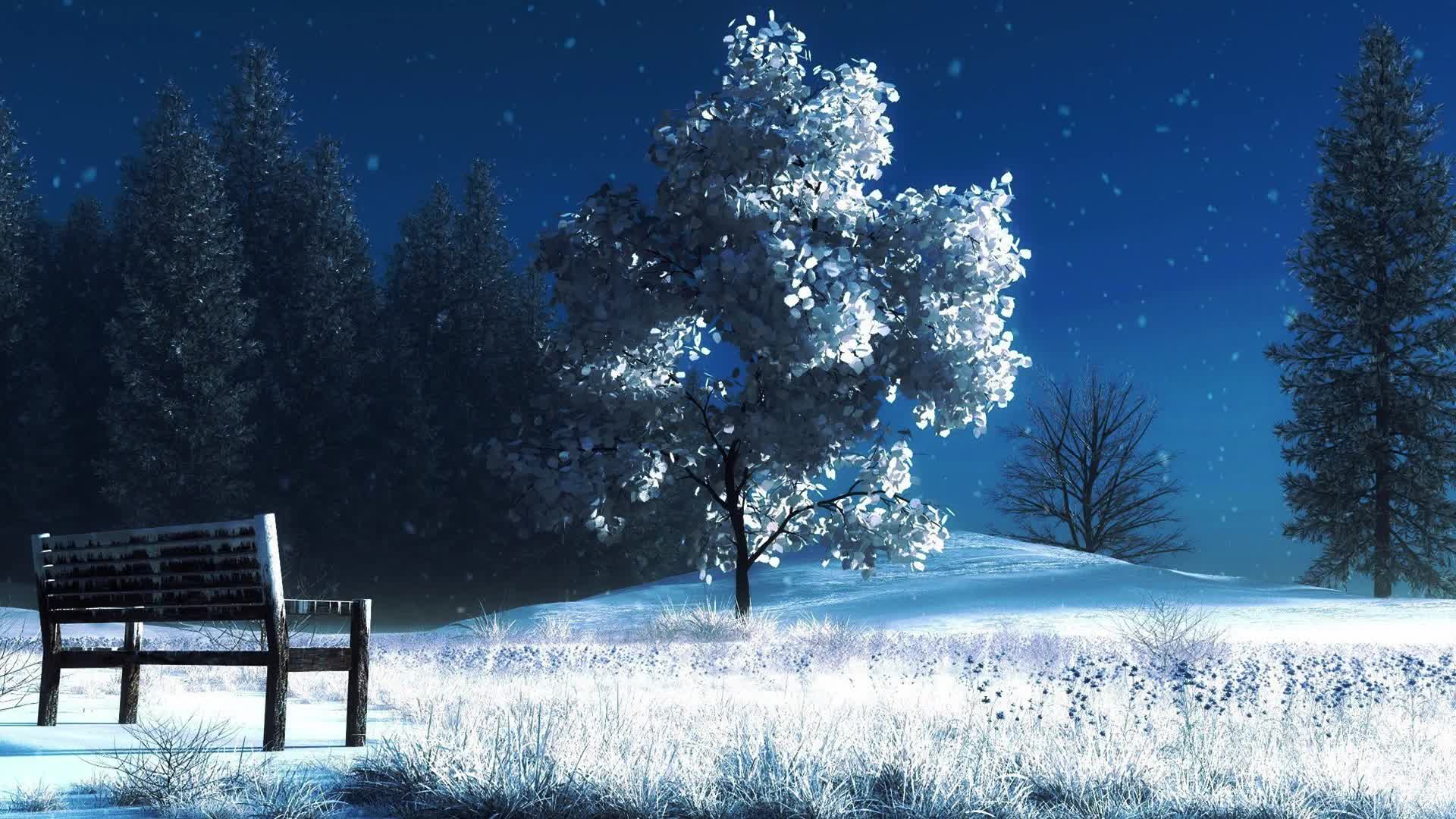 Download Park In Winter Snow Live Wallpaper
