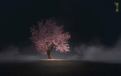 Sakura Tree Girl Live Wallpaper