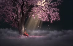 Sakura Tree And Sitting Girl Live Wallpaper