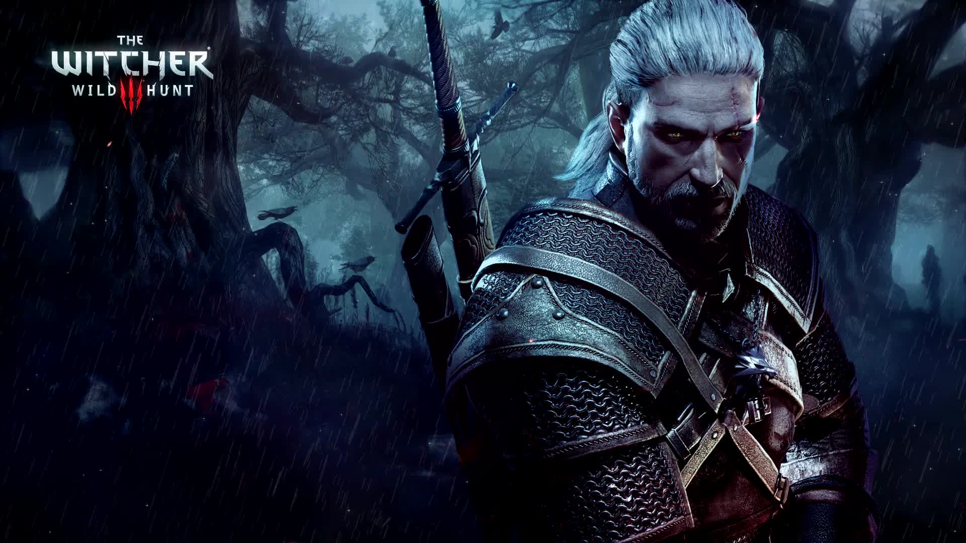 Download The Witcher Wild Hunt Live Wallpaper