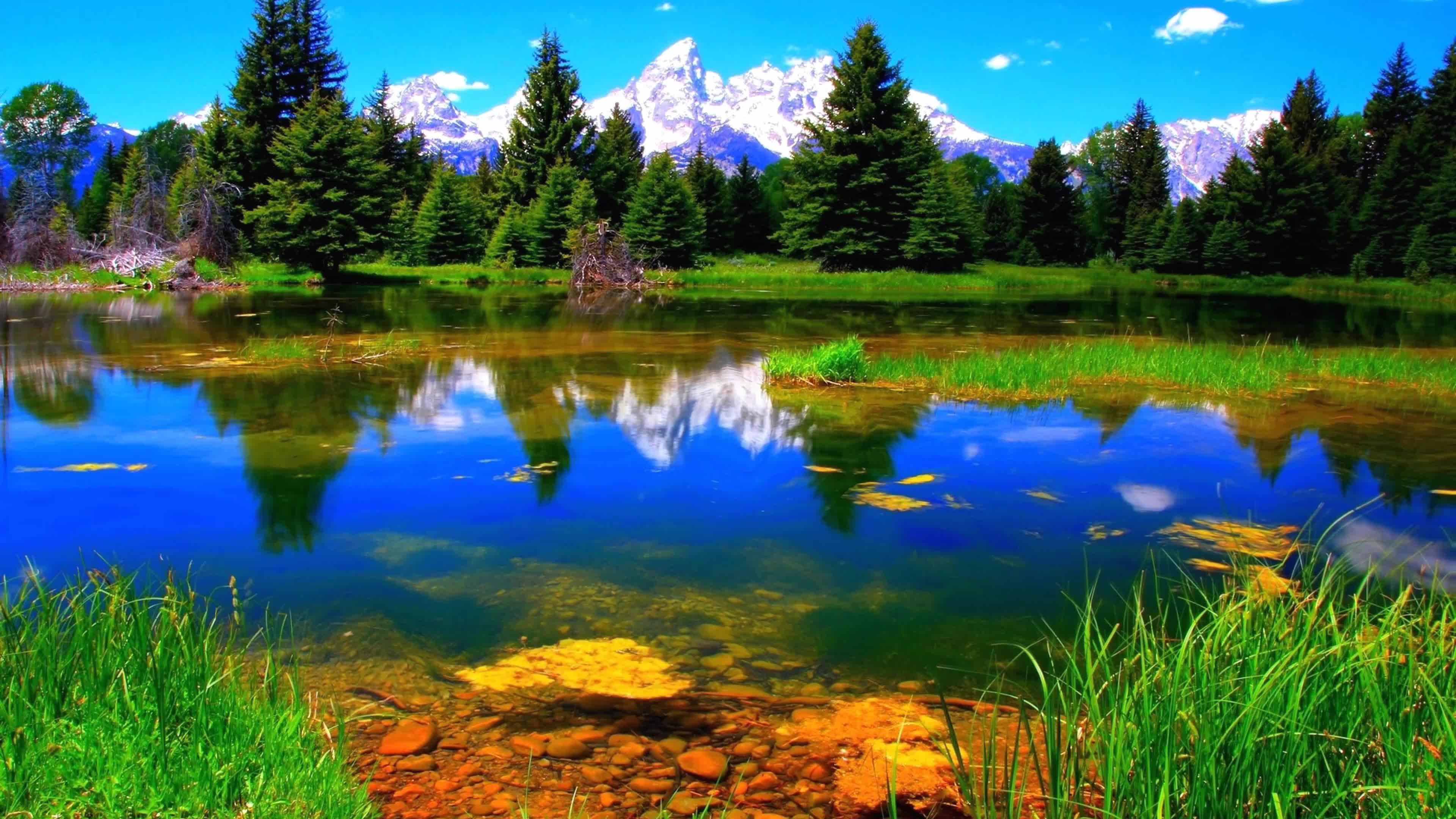 Download Landscape  River  Nature  4K  Live  Wallpaper