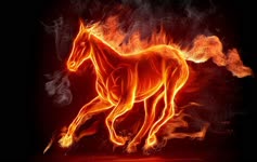 Creative  Running  Fire  Horse  Live  Wallpaper