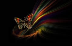 Colorful  Abstract  Butterfly  2K  Live  Wallpaper