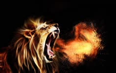 Roaring  Lions  Fire  Fantasy  Live  Wallpaper