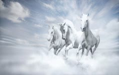 White  Horses  Fantasy  Clouds  Art  Live  Wallpaper