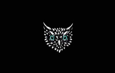 Animated Owl Head Live Wallpaper